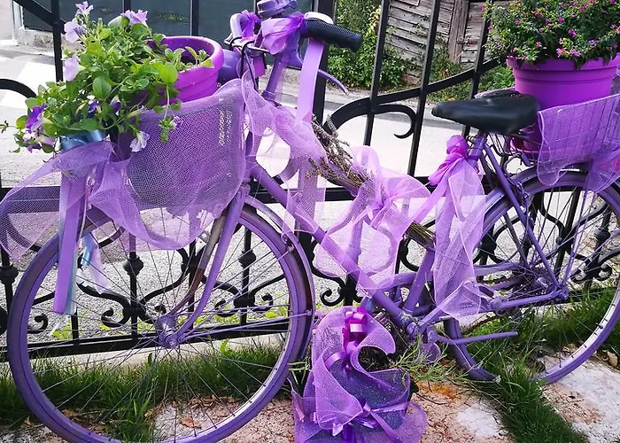 Bed & Breakfast Casa Novecento Feltre